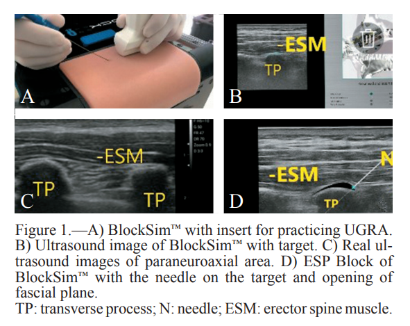 A new generation of simulator for teaching the new wall blocks
