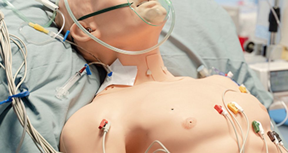 HAL all’Università degli Studi di Trieste